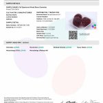 NuLeaf Naturals SLEEP - CBD:CBN Gummies