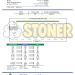 Stoner Apple Fritter THCA Flower - Stoner Classic