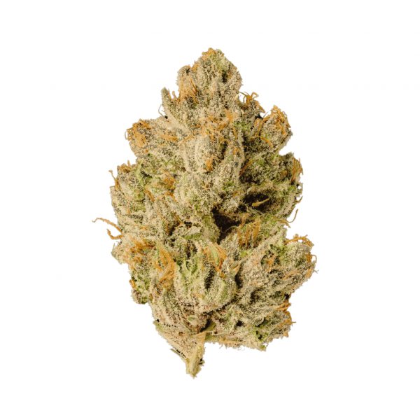 Papa's Herb BUBBA GUM INDOOR THCa FLOWER