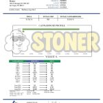 Blackberry Super Boof THCA Flower - Stoner Exotic