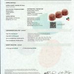 FAB CBD Sleep Gummies