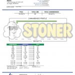 Stoner Kush Mintz THCA Flower - Stoner Classic