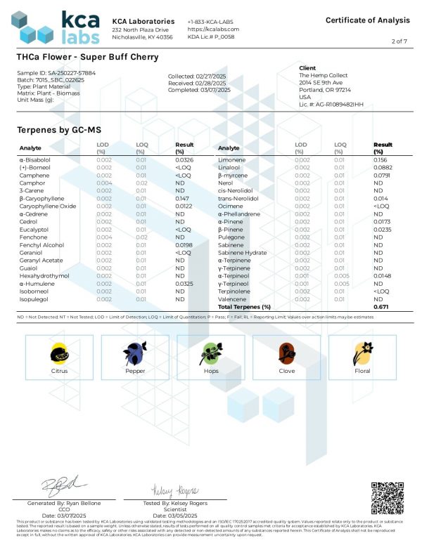Modern Herb Co THCA Flower