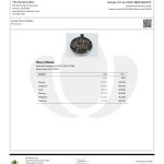 Modern Herb Co THCA Flower