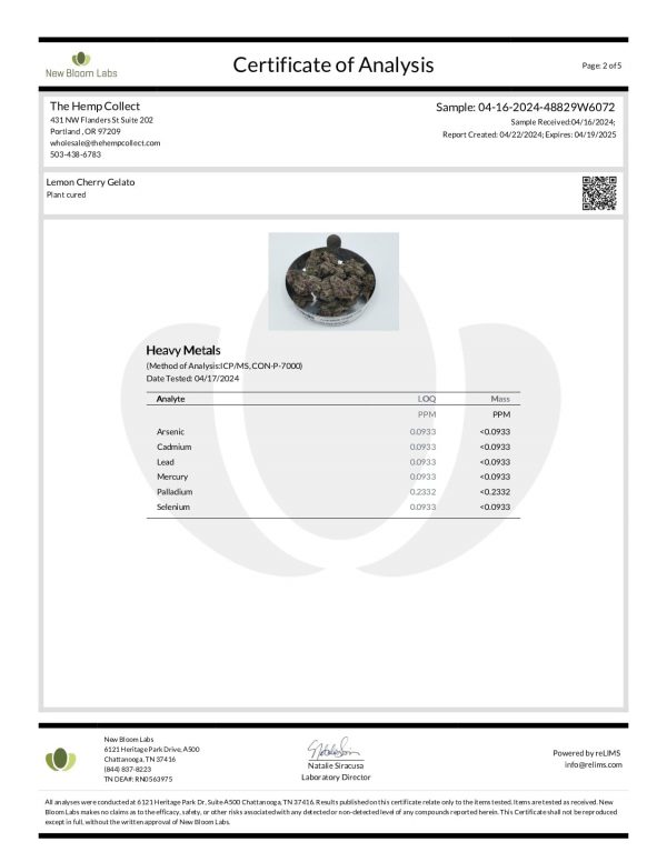 Modern Herb Co THCA Flower