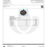 Modern Herb Co THCA Flower