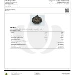 Modern Herb Co THCA Flower