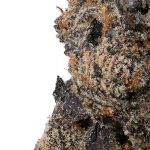 WNC CBD High THCA Indoor Hydro Flower | 3.5g