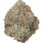 WNC CBD High THCA Indoor Hydro Flower | 3.5g