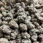 Canvast Premium Indoor THCA Flower | 3.5g