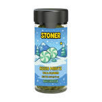 Stoner Kush Mintz THCA Flower - Stoner Classic