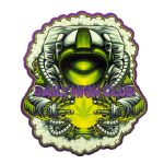 "It Came From Mars" Smoking Box