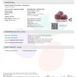 Delta 9 Gummies: 3-Pack