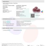 FABCBD Delta 9 Gummies