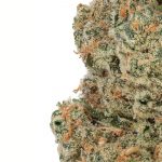 WNC CBD High THCA Indoor Living Soil Flower | 3.5g
