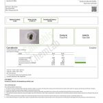 WNC CBD High THCA Indoor Living Soil Flower | 3.5g