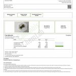 WNC CBD High THCA Indoor Living Soil Flower | 3.5g