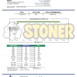 Stoner Insane Pound Cake THCA Flower - Stoner Exotic