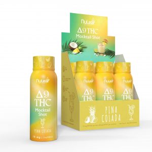 Pina Colada / 6 Pack