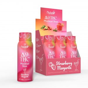 Strawberry Margarita / 6 Pack