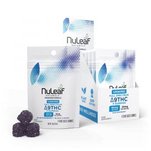 Black Cherry - Blue Raspberry / 12 Pack / Single Unit