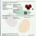 NuLeaf Naturals THC: 4ct Mylar