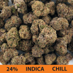 BlueBerry Pancake - 3.5g