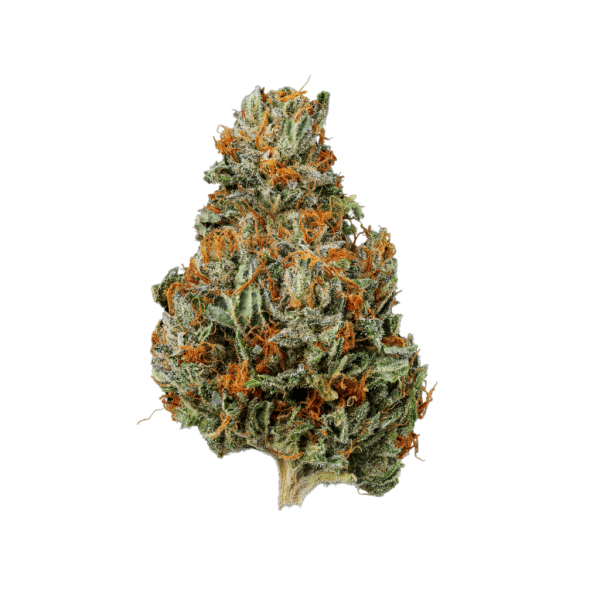 Papa's Herb APPLE FRITTER INDOOR THCa FLOWER
