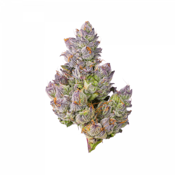 Papa's Herb GELATO 33 INDOOR THCa FLOWER