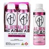 Alien Head D9 THC Lemonade | Watermelon | 16oz | 128mg | 4ct Display