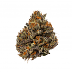 TROPICANA COOKIES INDOOR THCa FLOWER