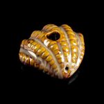 Clam Shell Pipe