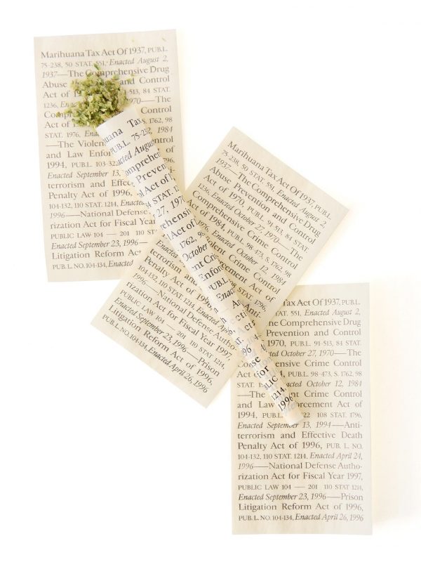 Field Trip x Last Prisoner Project Burn Book Pre-Roll Cones