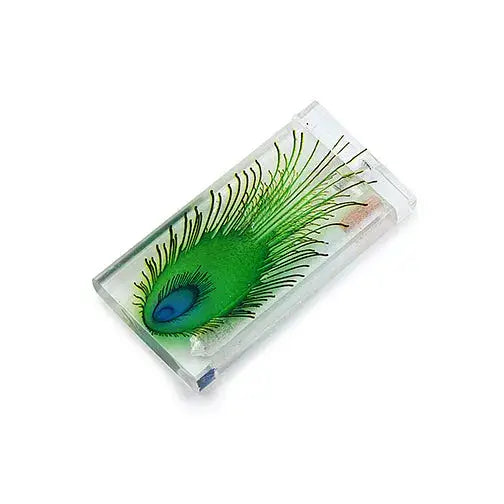 Handmade Acrylic Peacock Dugout with one Hitter