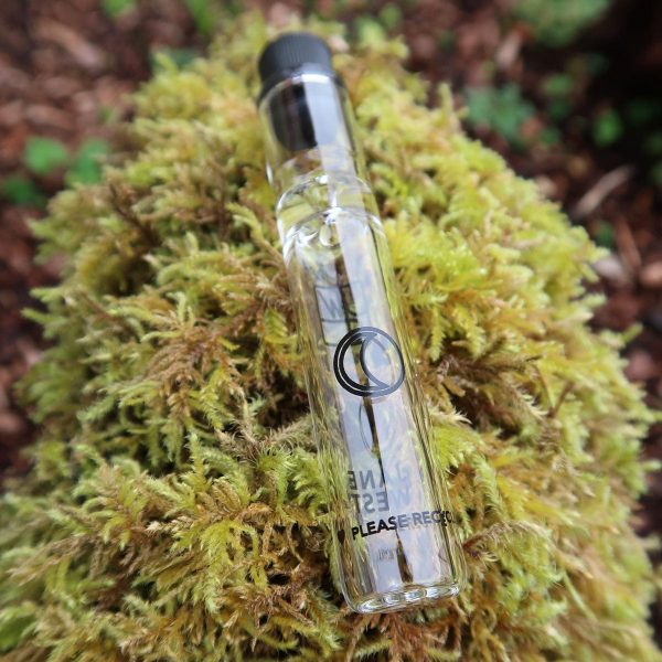 Jane West Travel Pipe
