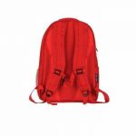 Smokeyz Backpack with Smell Proof Compartment and Laptop Pocket
