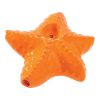 Starfish Ceramic Hand Pipe